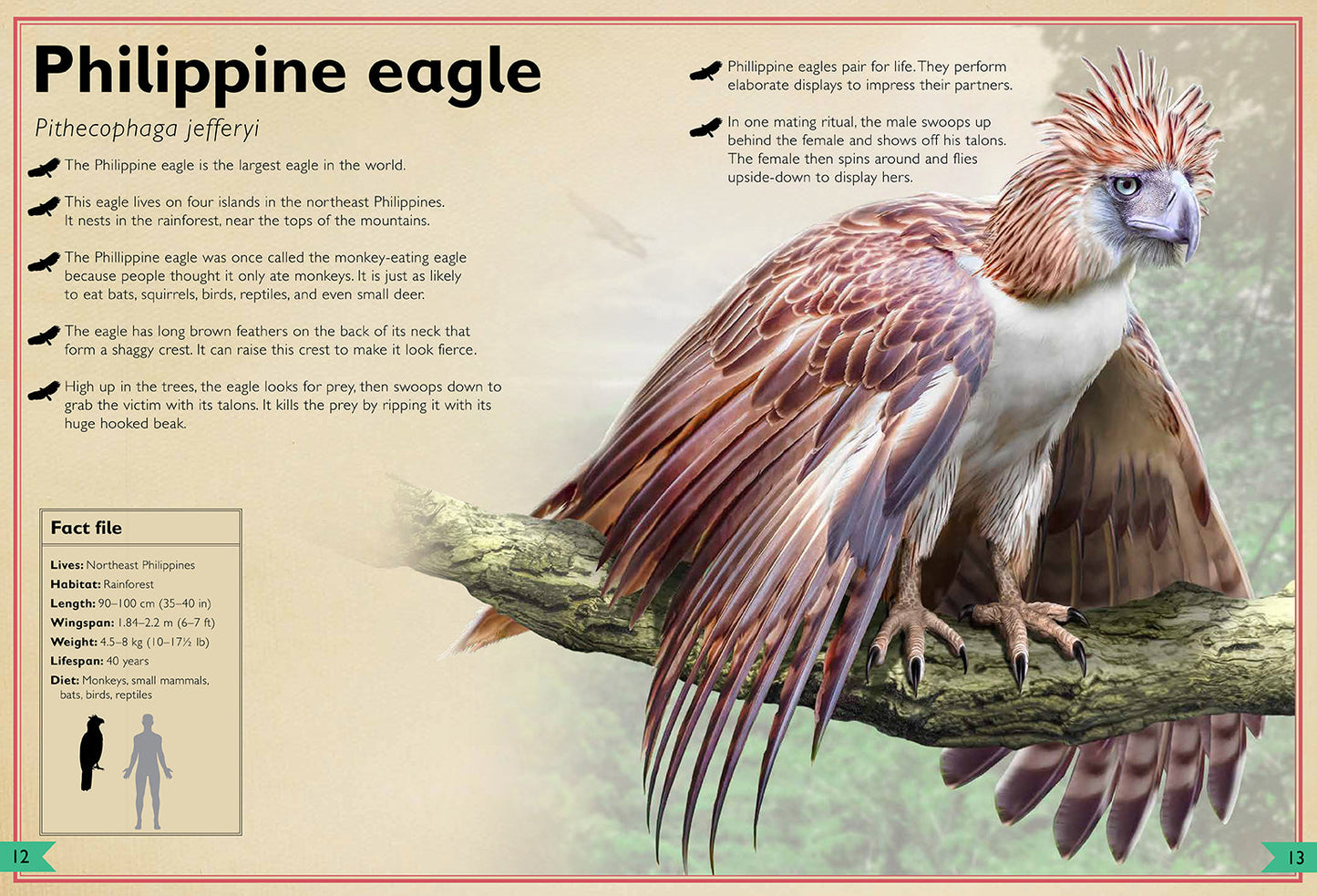 The Magnificent Book of Birds – Hardcover