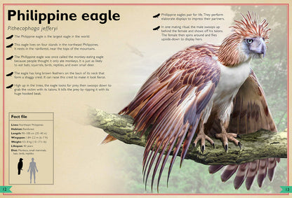 The Magnificent Book of Birds – Hardcover