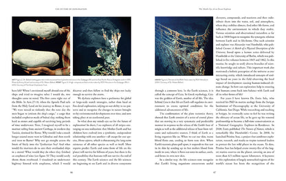 The Future of Exploration – Hardcover