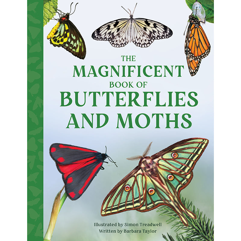 The Magnificent Book of Butterflies & Moths – Hardcover