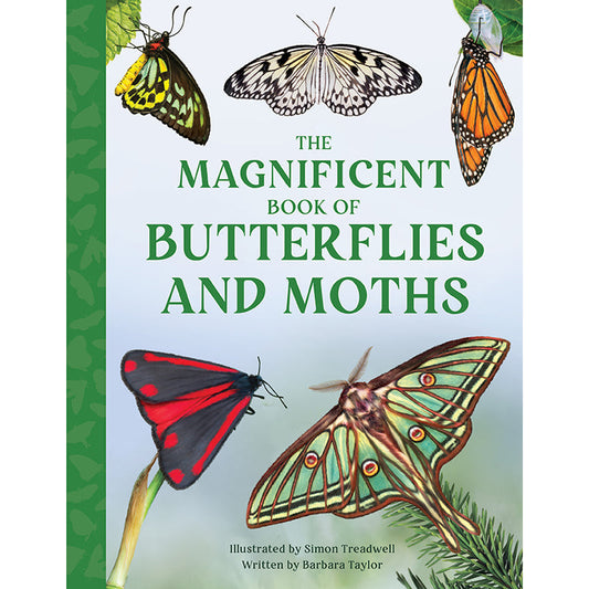 The Magnificent Book of Butterflies & Moths – Hardcover