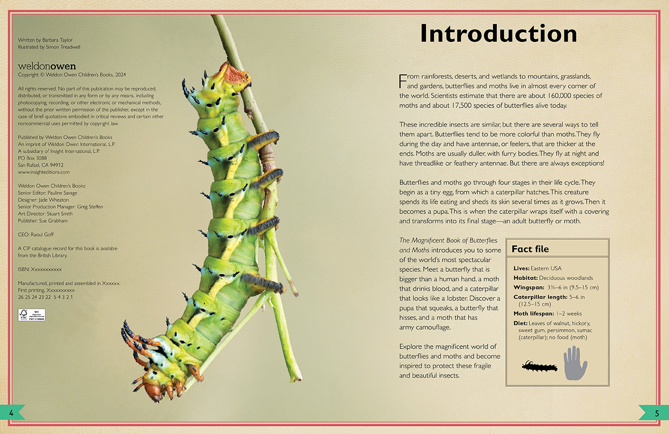 The Magnificent Book of Butterflies & Moths – Hardcover