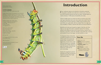 The Magnificent Book of Butterflies & Moths – Hardcover