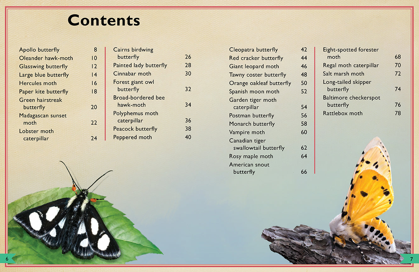 The Magnificent Book of Butterflies & Moths – Hardcover