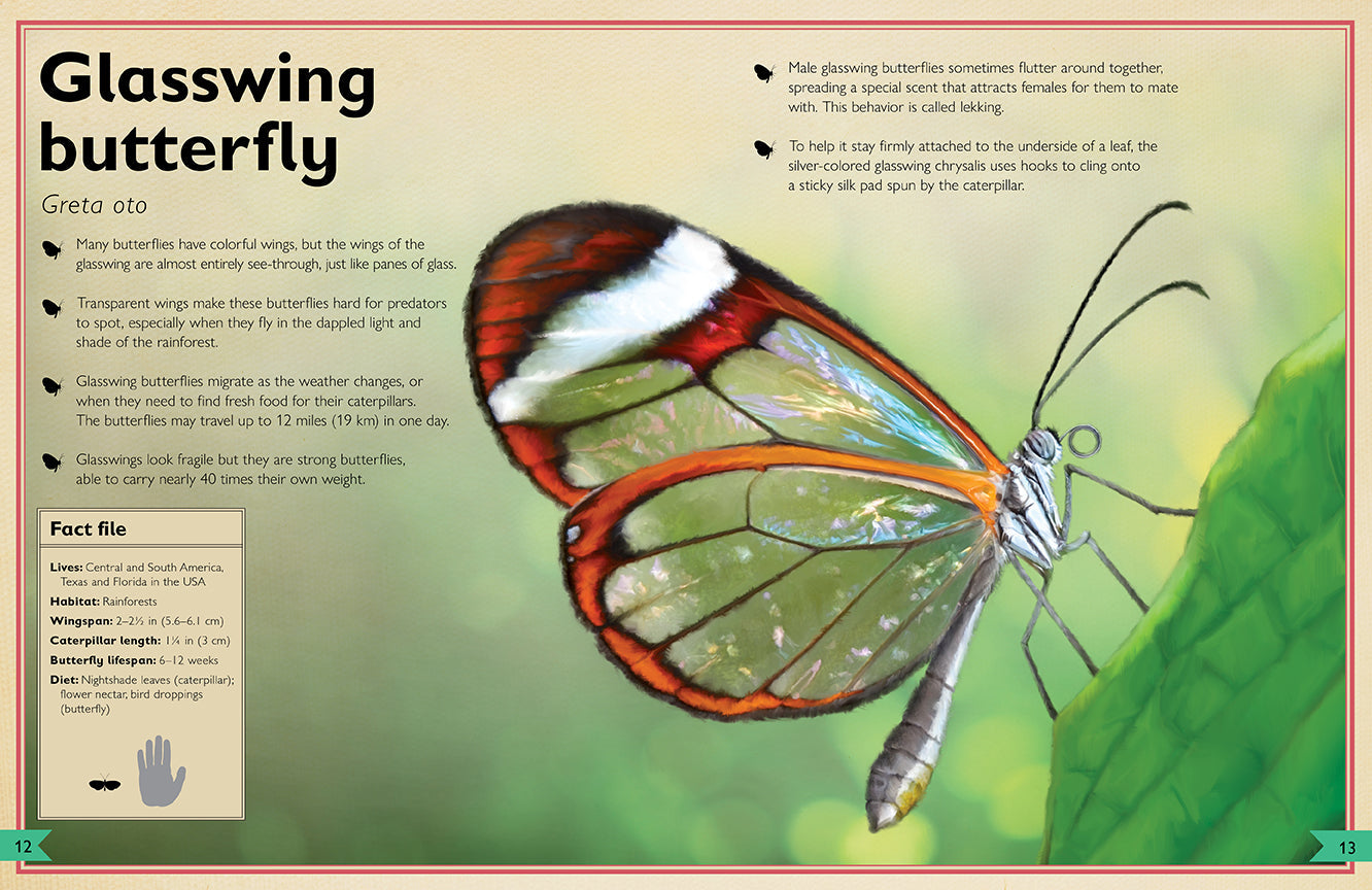 The Magnificent Book of Butterflies & Moths – Hardcover