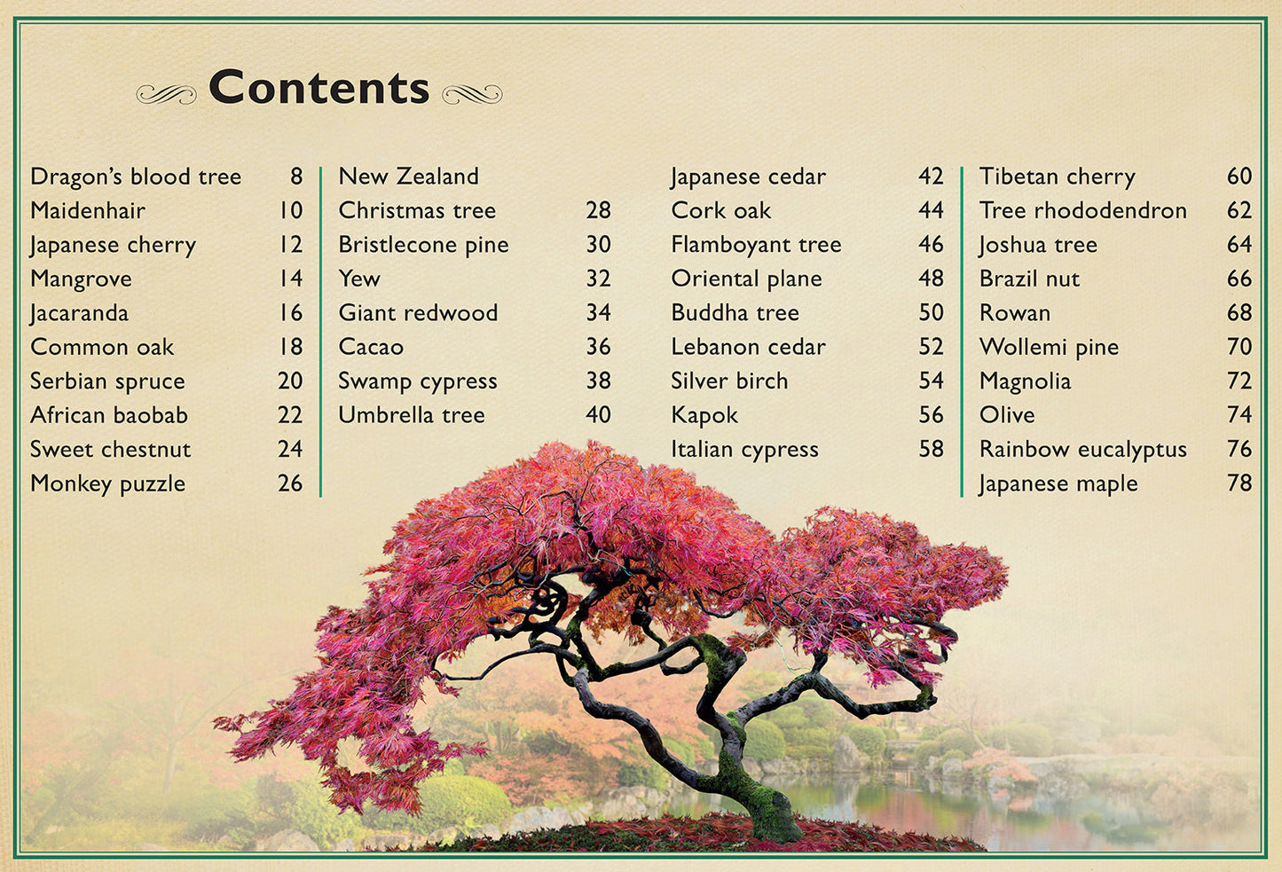 The Magnificent Book of Trees – Hardcover