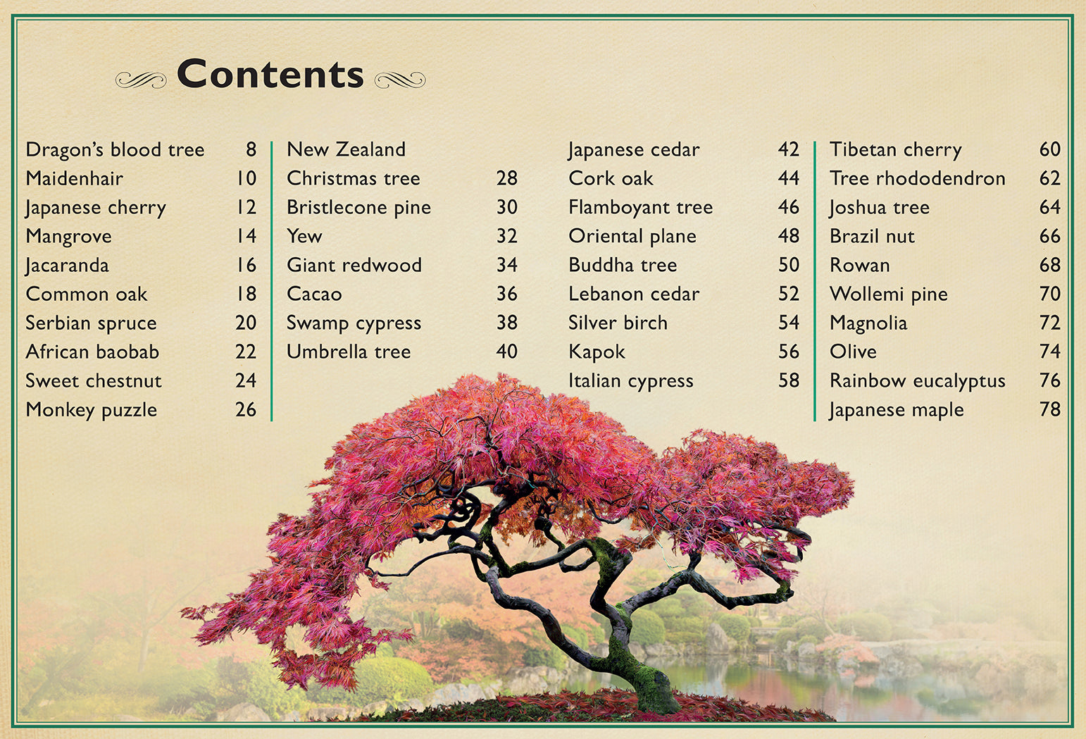 The Magnificent Book of Trees – Hardcover