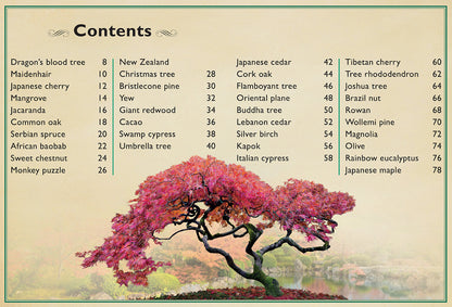 The Magnificent Book of Trees – Hardcover