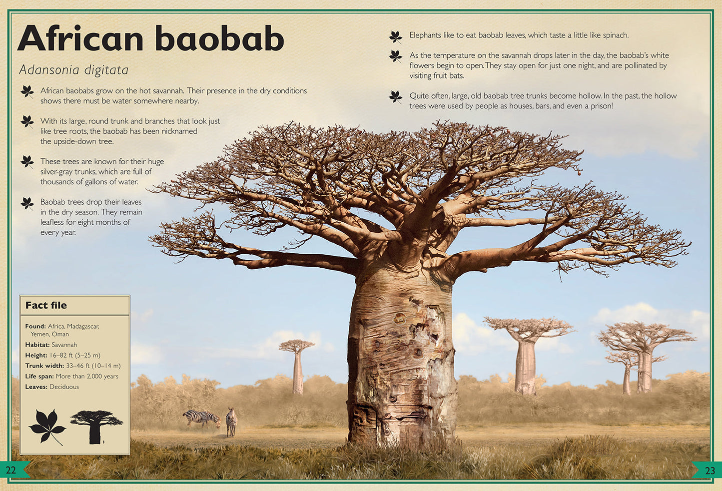 The Magnificent Book of Trees – Hardcover
