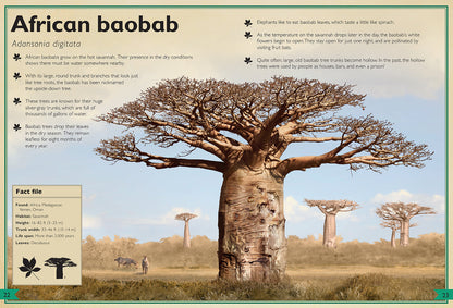 The Magnificent Book of Trees – Hardcover