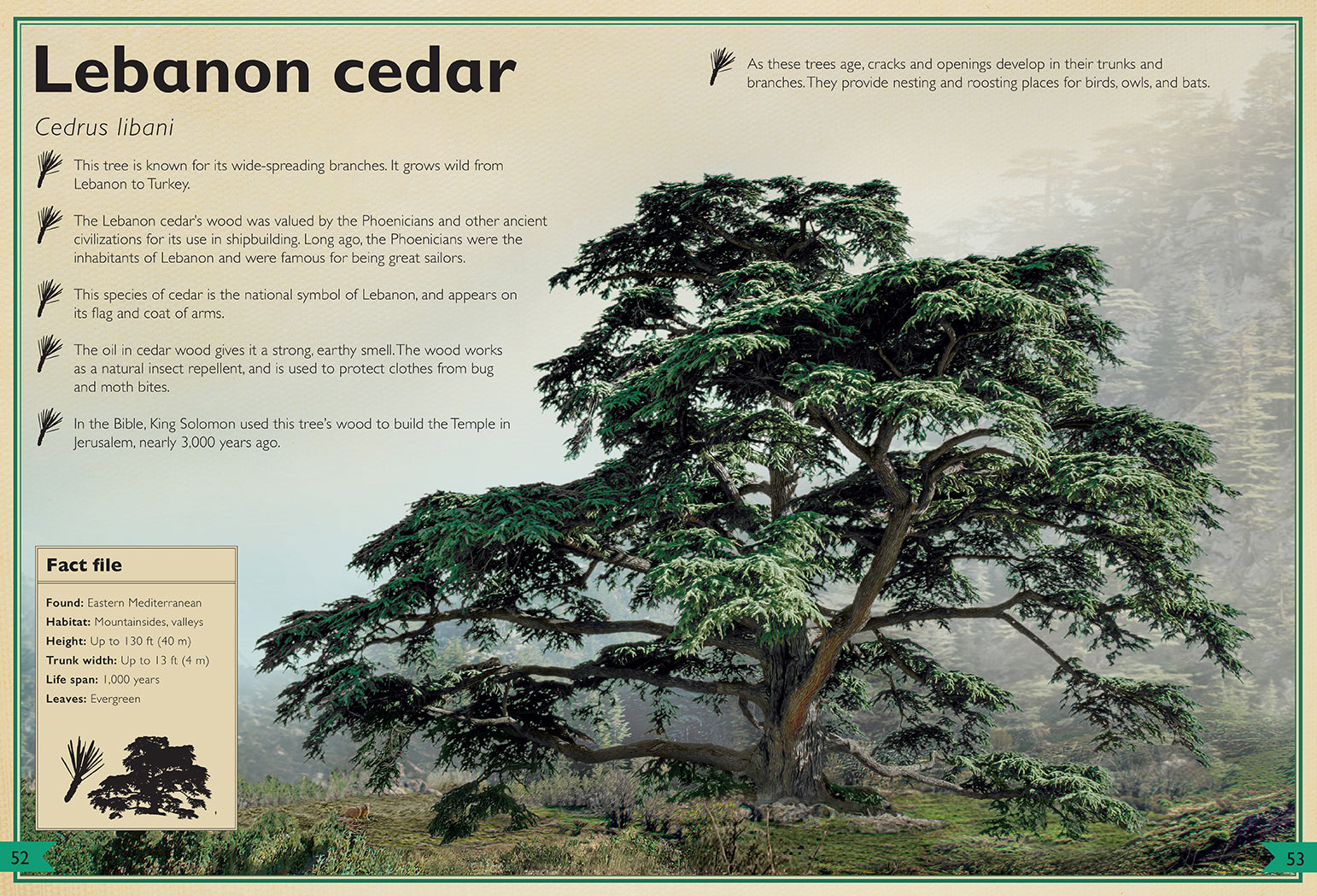 The Magnificent Book of Trees – Hardcover