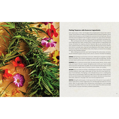 Cannabis Cocktails Recipe Book - 60+ THC Drink Recipes – Hardcover