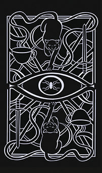 Christina Ricci Tarot Deck - 78 Cards with Guidebook – Kit: Softbound