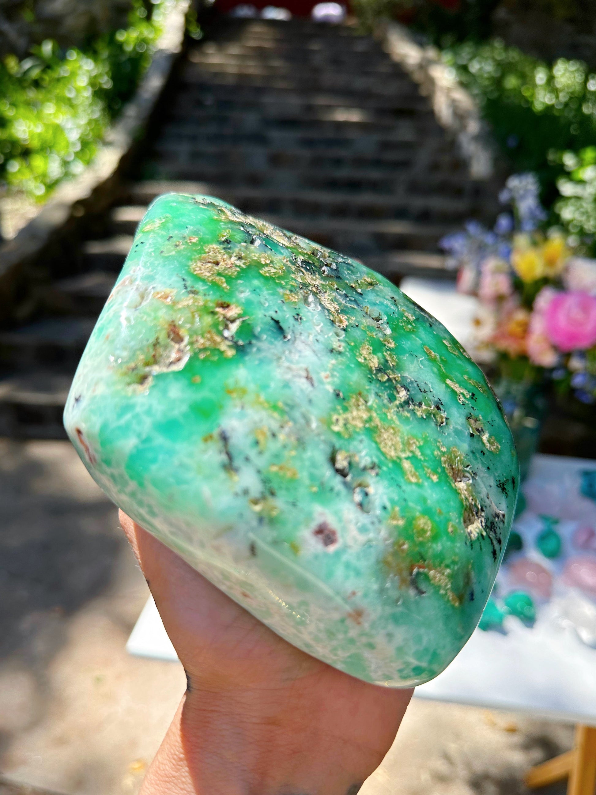Chrysoprase Freeform - from Australian –