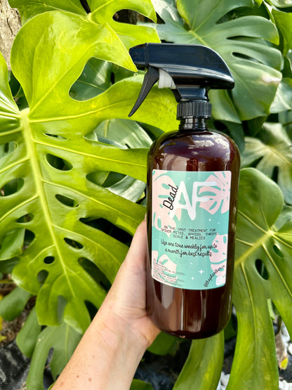 Natural Insecticide Spray for Houseplants - SAFE FOR PETS! - Kills Mealybugs, Thrips, Spider Mites, Aphids & Scale