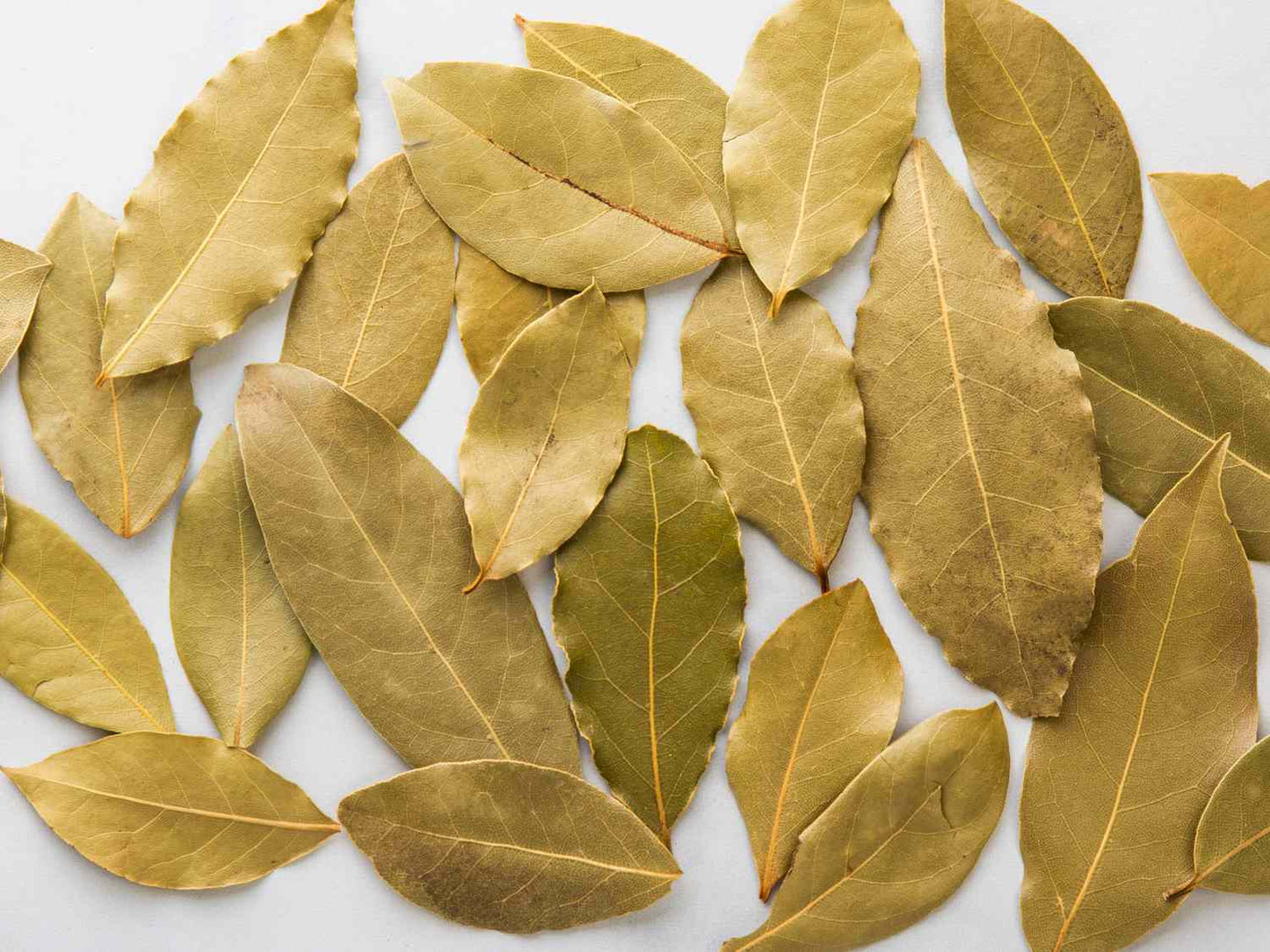 Bay Leaves – Ritual Herb for Spells, Manifestation & Protection