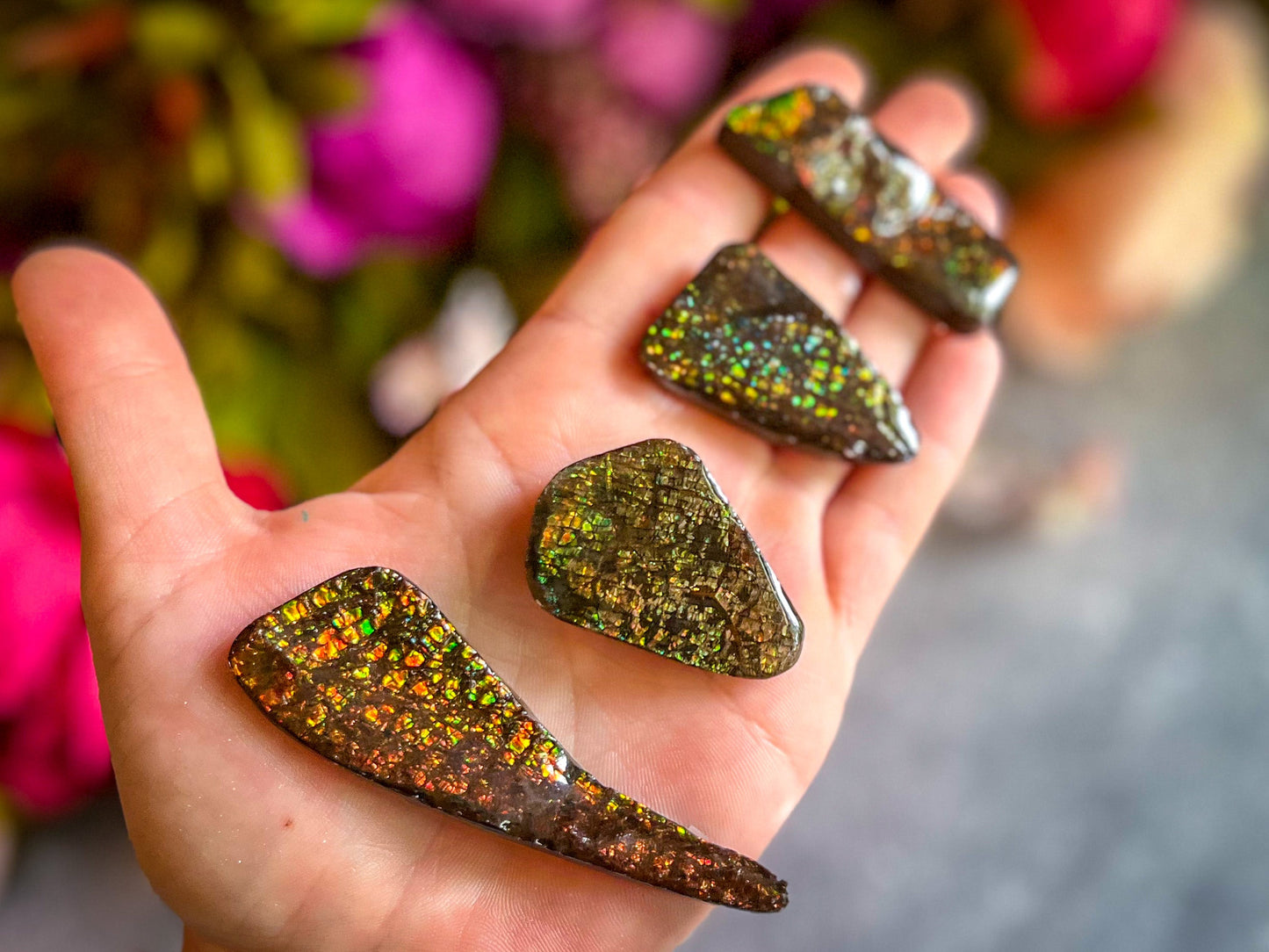 Ethically Sourced Ammolite From Canada