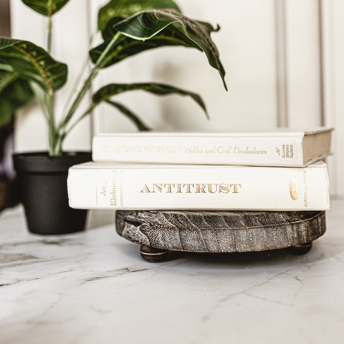 Rustic Wood Stand –
