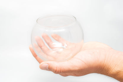 Air Plant Bubble Bowl Terrarium – terrarium