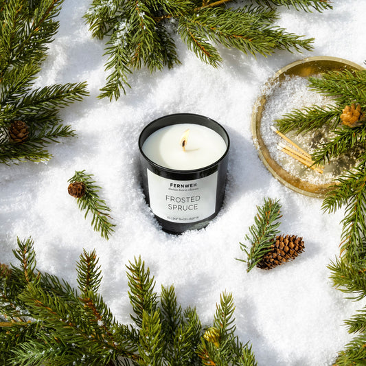 Frosted Spruce Soy Candle – Spruce, Cedar & Amber, 11 oz