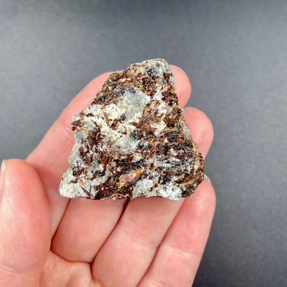 25.63 g. Astrophyllite Specimen – Astrophyllite