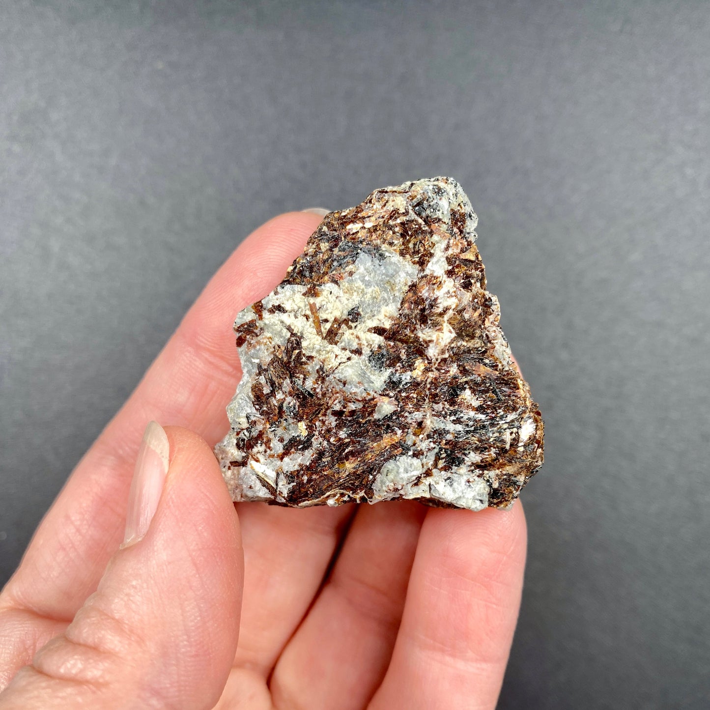 25.63 g. Astrophyllite Specimen – Astrophyllite