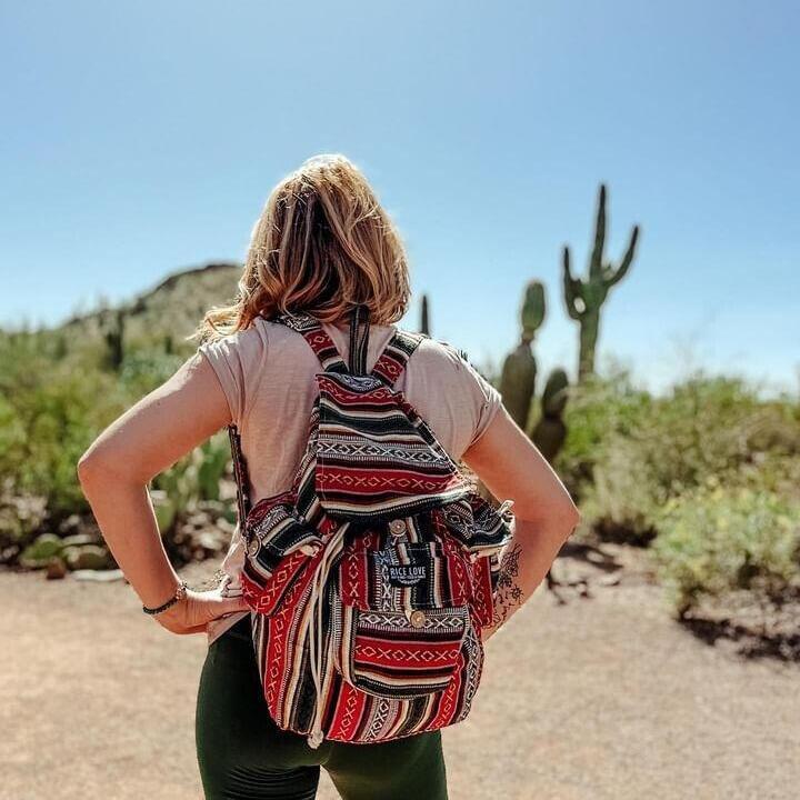 Recycled Travel Backpack Delhi – Bag