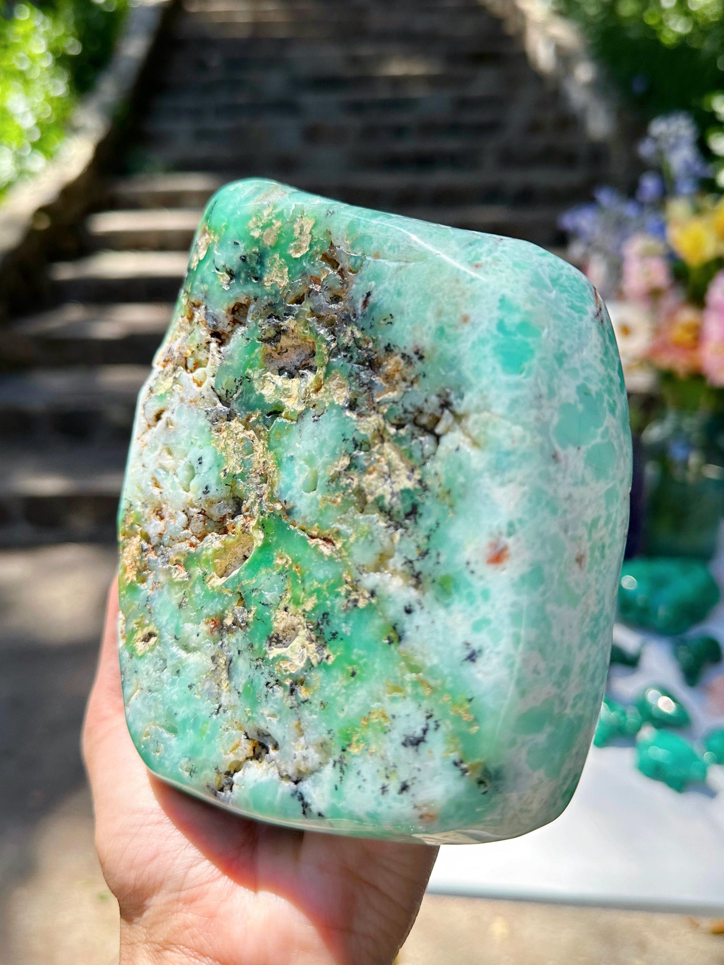 Chrysoprase Freeform - from Australian –