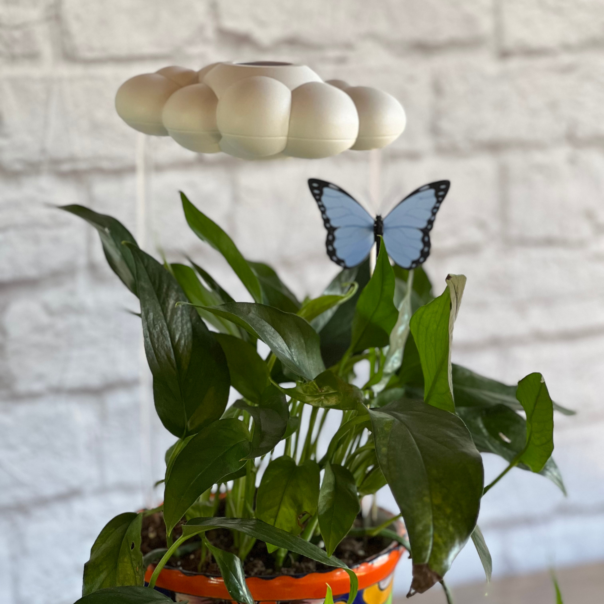 Original Dripping Rain Cloud with Blue Butterfly Charm – Clouds