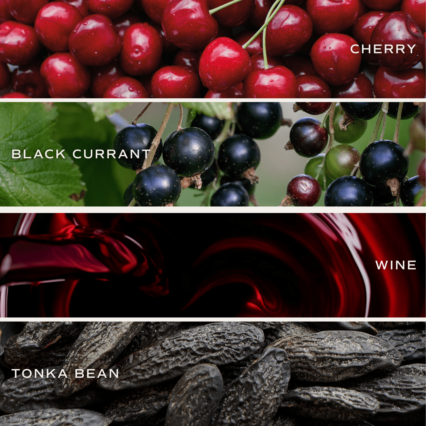 Blackwood Cherry Soy Candle - White Jar - 11 oz – Candles