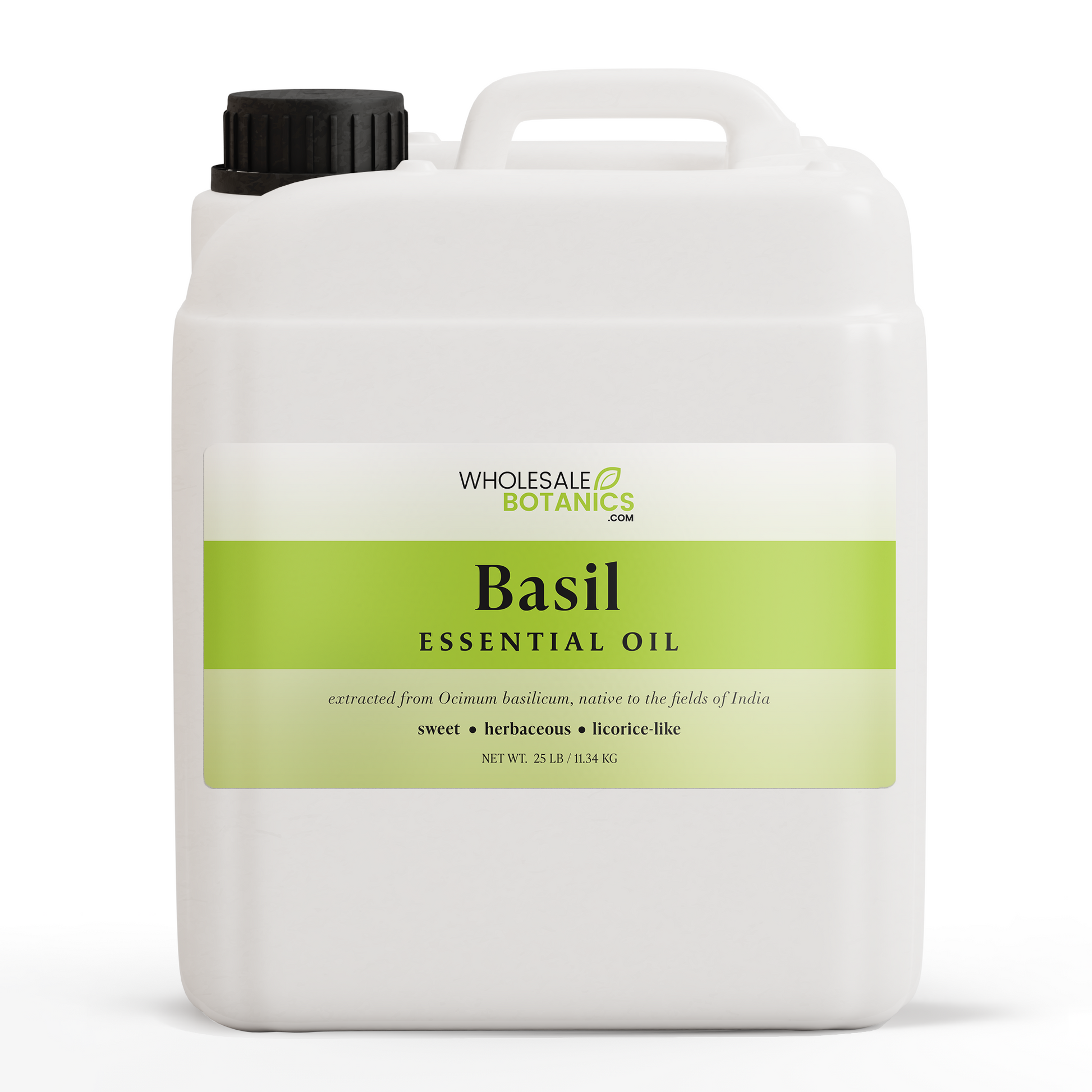 Basil Essential Oil (Sweet) – 25 lbs Essential_Oil