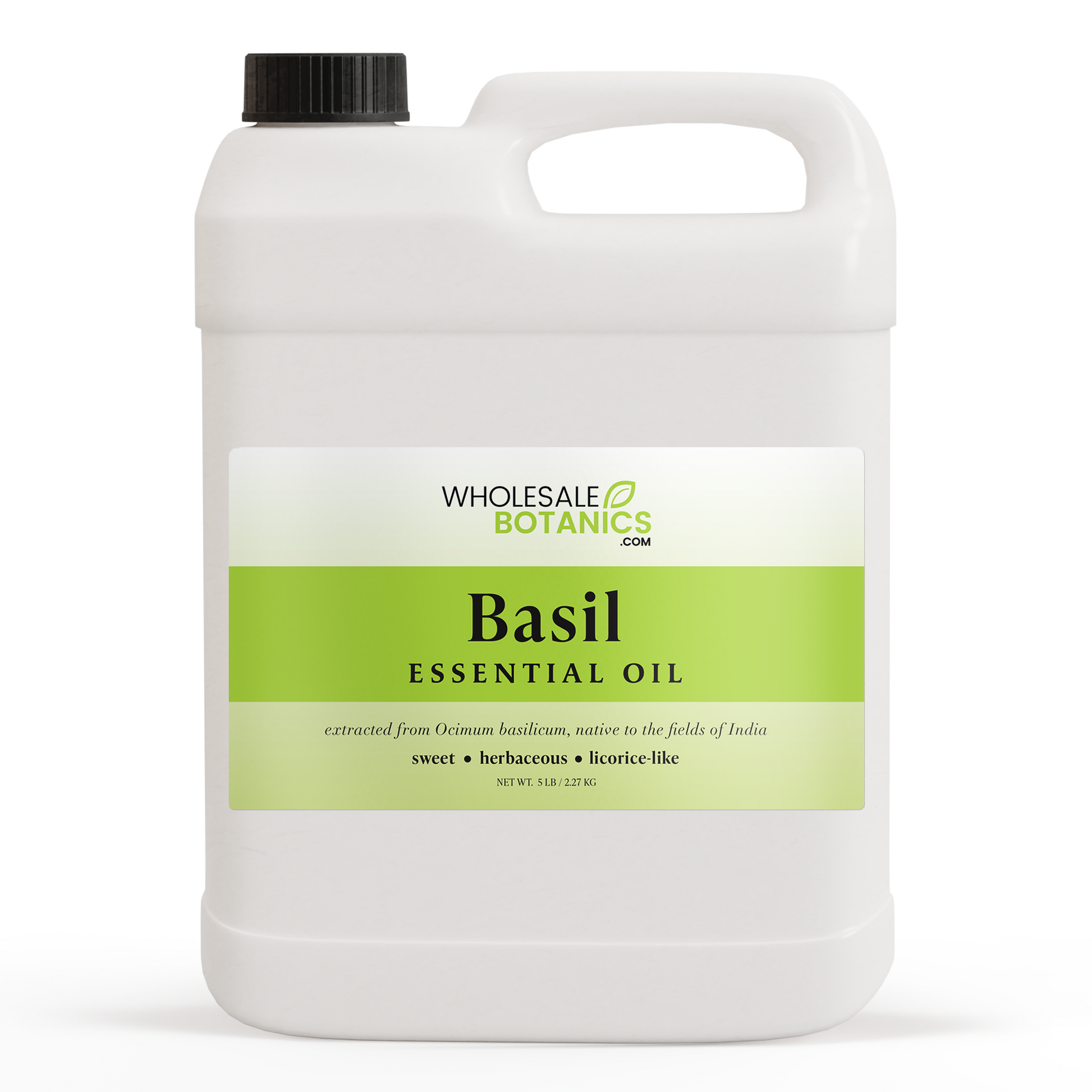 Basil Essential Oil (Sweet) – 5 lbs Essential_Oil