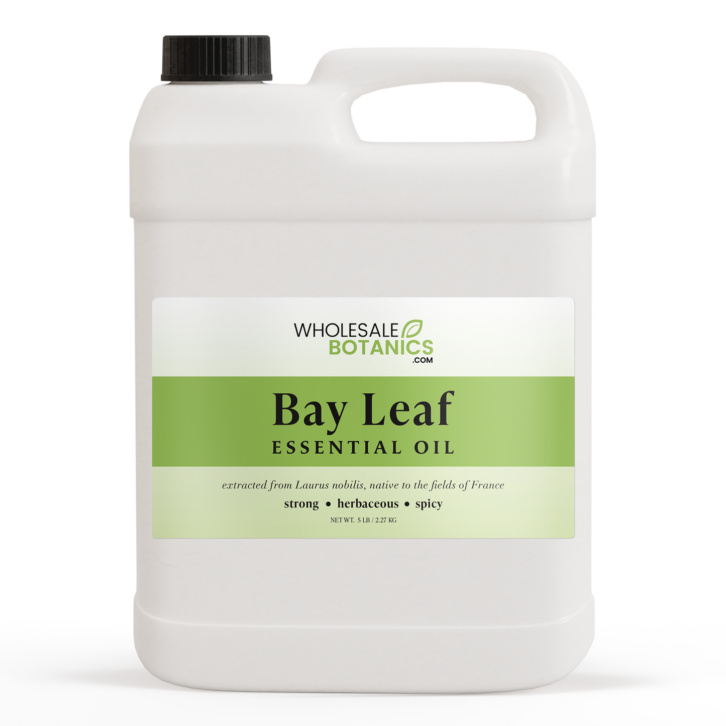 Bay Leaf Essential Oil – 5 lbs Essential_Oil