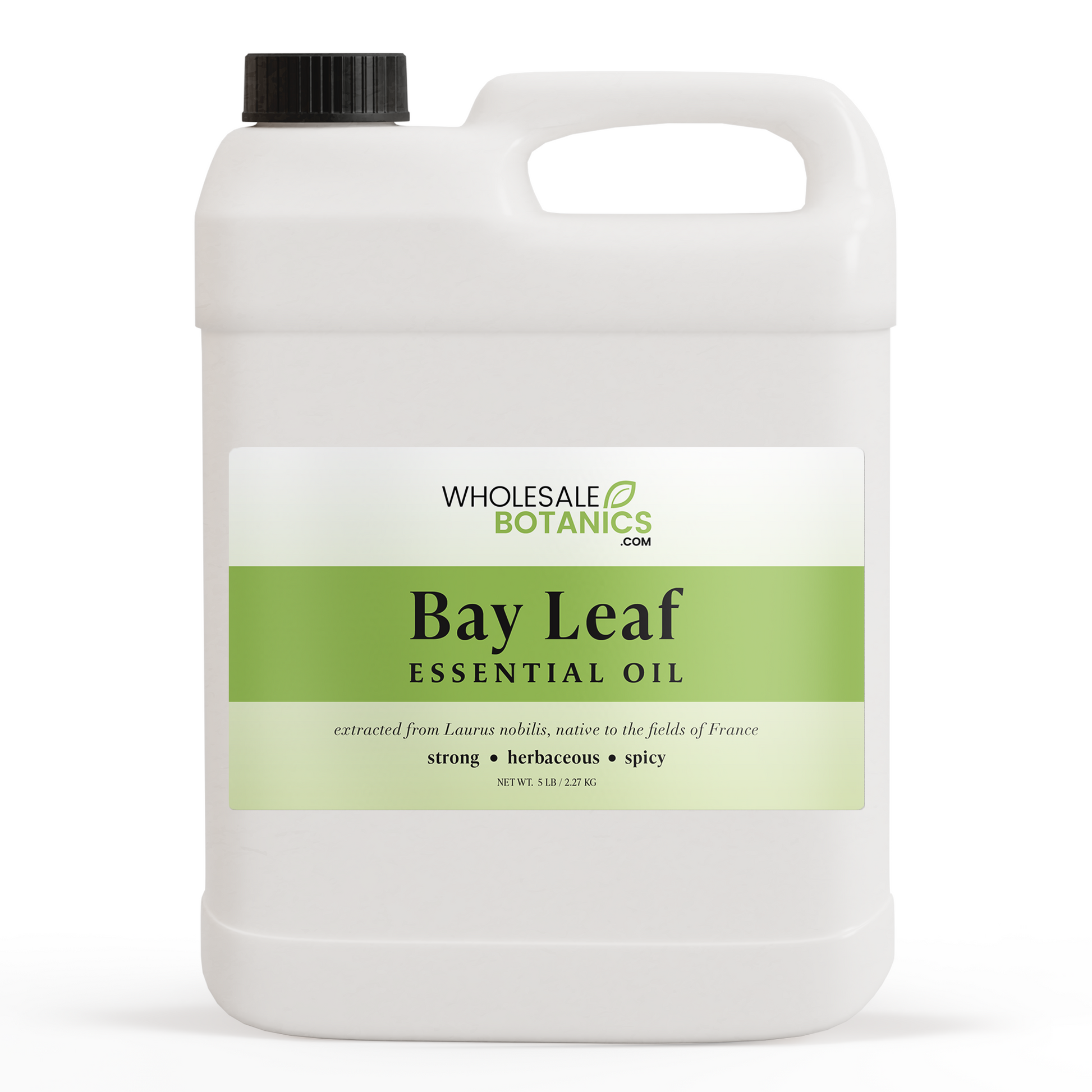 Bay Leaf Essential Oil – 5 lbs Essential_Oil