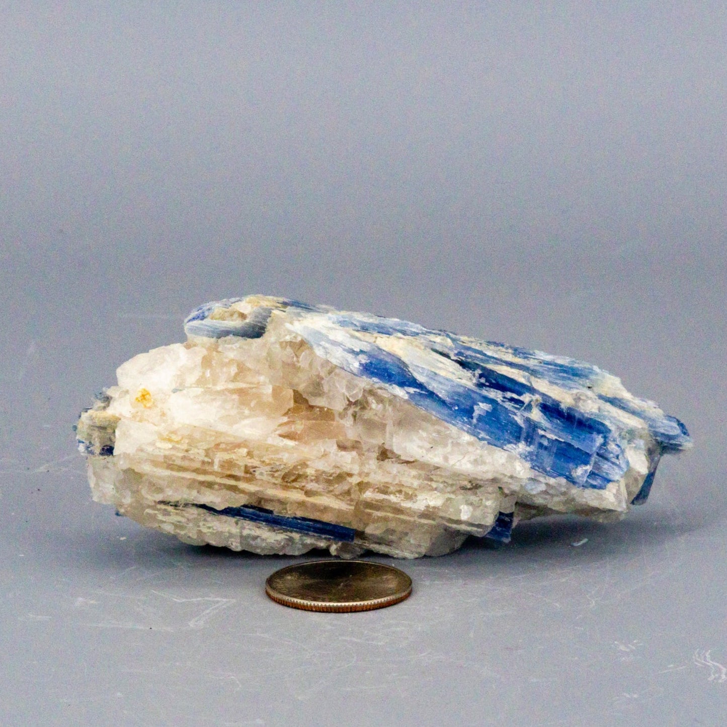 Beautiful Blue Kyanite Blades In Quartz Clusters – Raw
