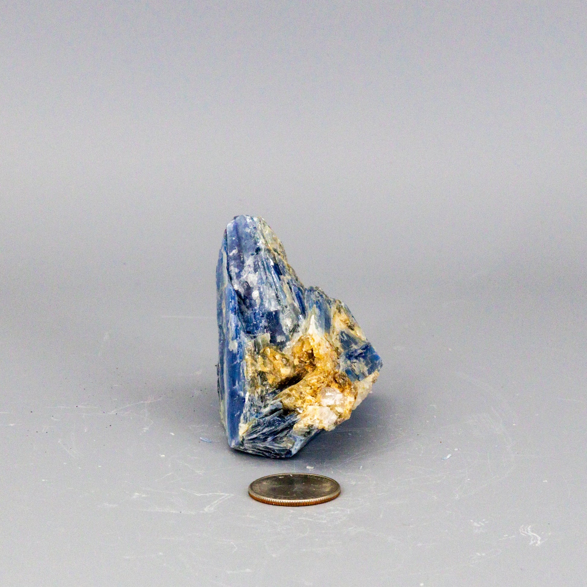 Beautiful Blue Kyanite Blades In Quartz Clusters – Raw