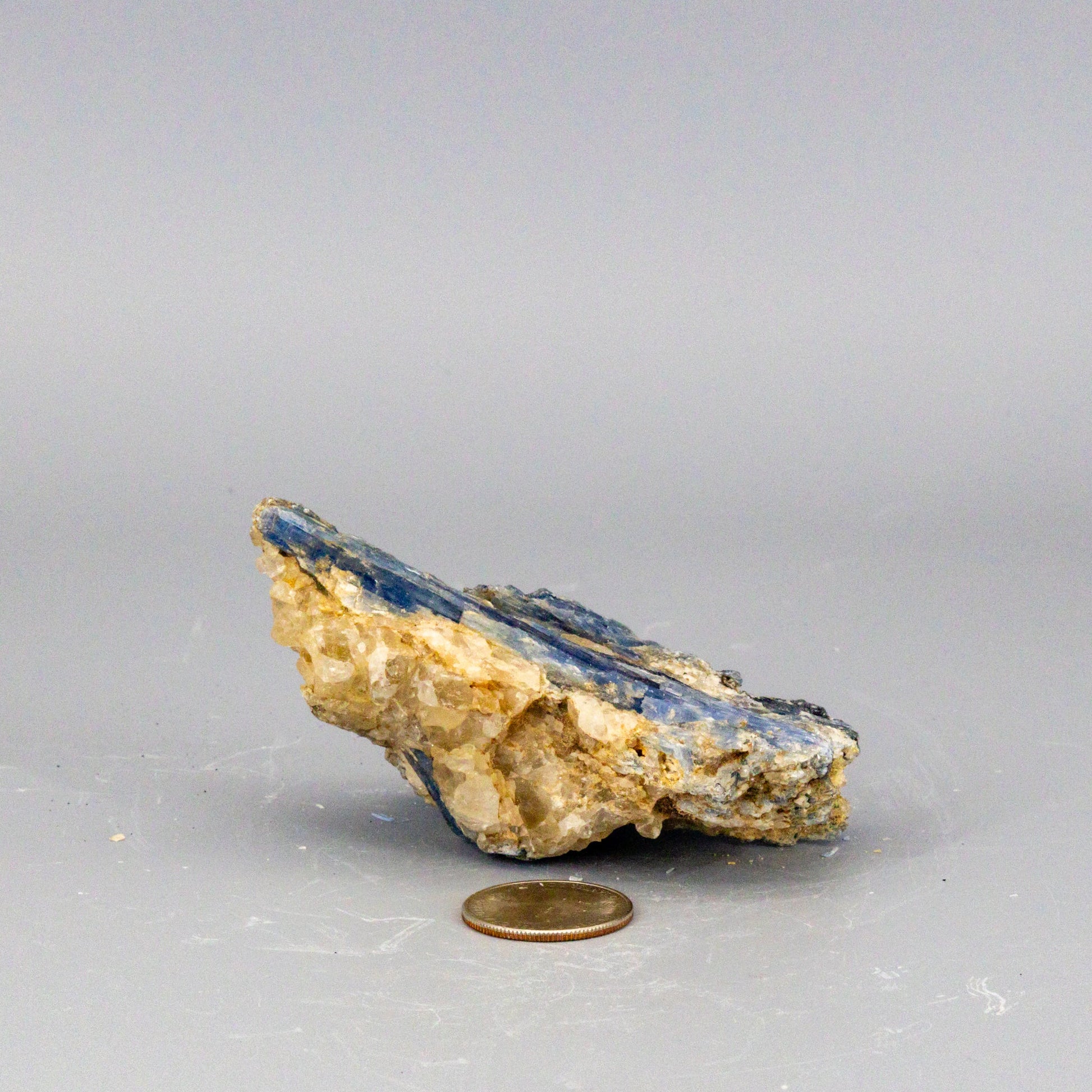 Beautiful Blue Kyanite Blades In Quartz Clusters – Raw