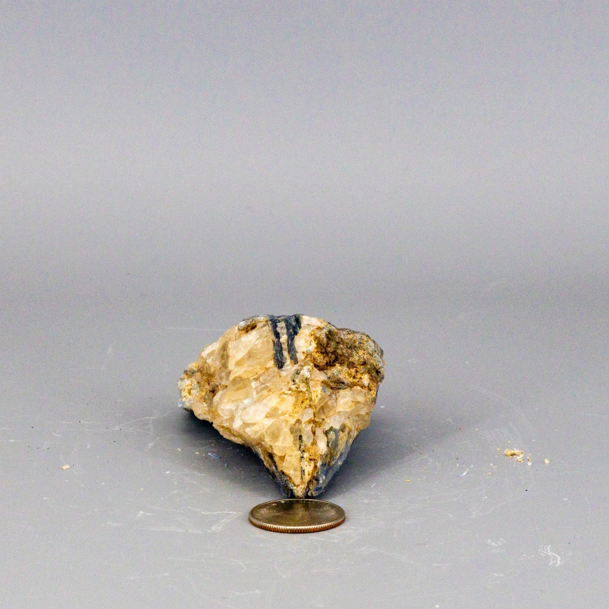 Beautiful Blue Kyanite Blades In Quartz Clusters – Raw