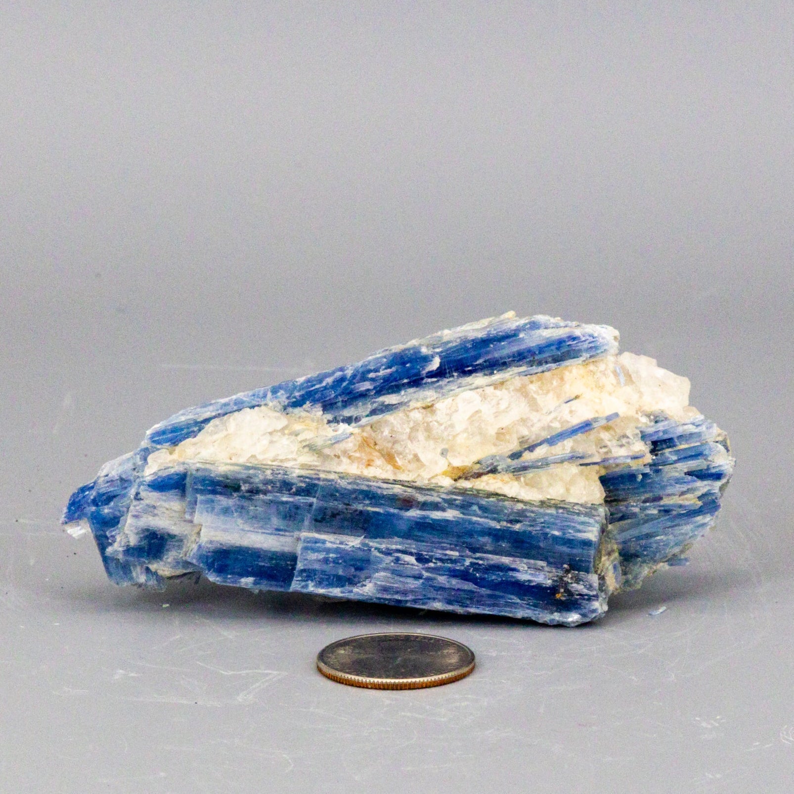 Beautiful Blue Kyanite Blades In Quartz Clusters – Blue Kyanite Quartz 172g - 4.00" x 2.00" Raw