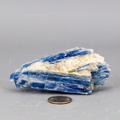 Beautiful Blue Kyanite Blades In Quartz Clusters – Blue Kyanite Quartz 172g - 4.00" x 2.00" Raw