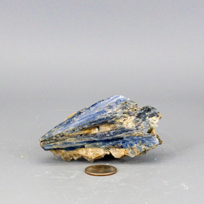 Beautiful Blue Kyanite Blades In Quartz Clusters – Blue Kyanite Quartz 200g - 3.75" x 2.00" Raw