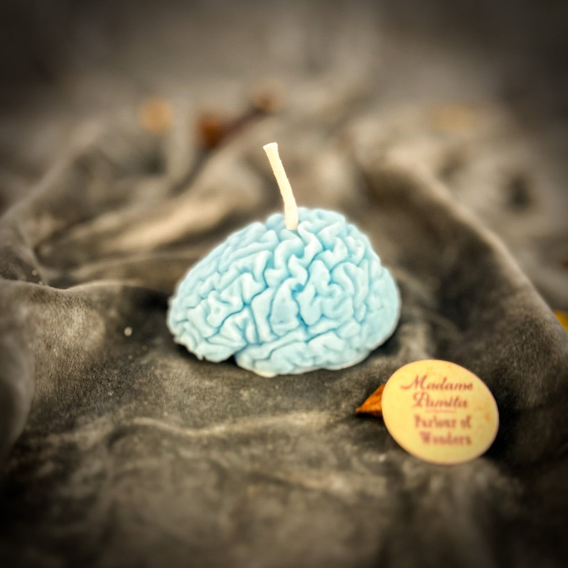 Focus Candle Spell Kit - Mental Clarity Brain Fog – Blue (Communication) Candle Spell Kit