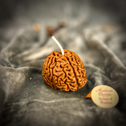 Focus Candle Spell Kit - Mental Clarity Brain Fog – Brown (Grounding) Candle Spell Kit