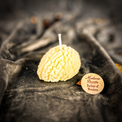 Focus Candle Spell Kit - Mental Clarity Brain Fog – White (Cleansing) Candle Spell Kit