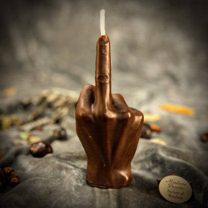 Middle Finger Candle Spell Kit - Banishing & Boundaries – Brown (Grounding) Candle Spell Kit