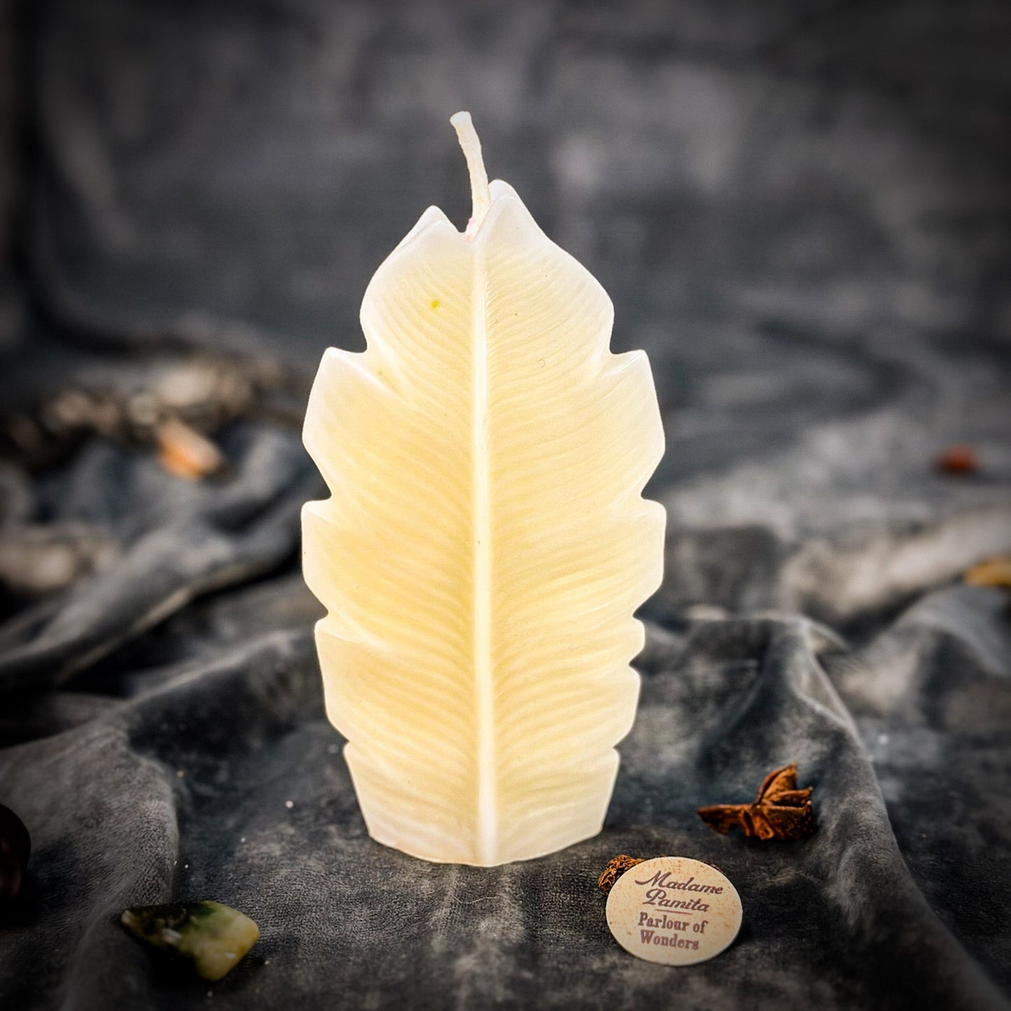 Plant Spirit Candle Spell Kit - Garden Blessing & Nature Magic – White (Blessing) Candle Spell Kit