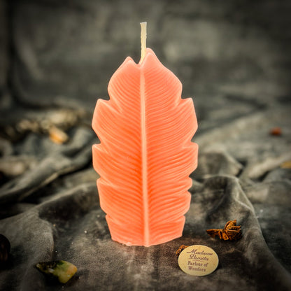 Plant Spirit Candle Spell Kit - Garden Blessing & Nature Magic – Pink (Romance) Candle Spell Kit