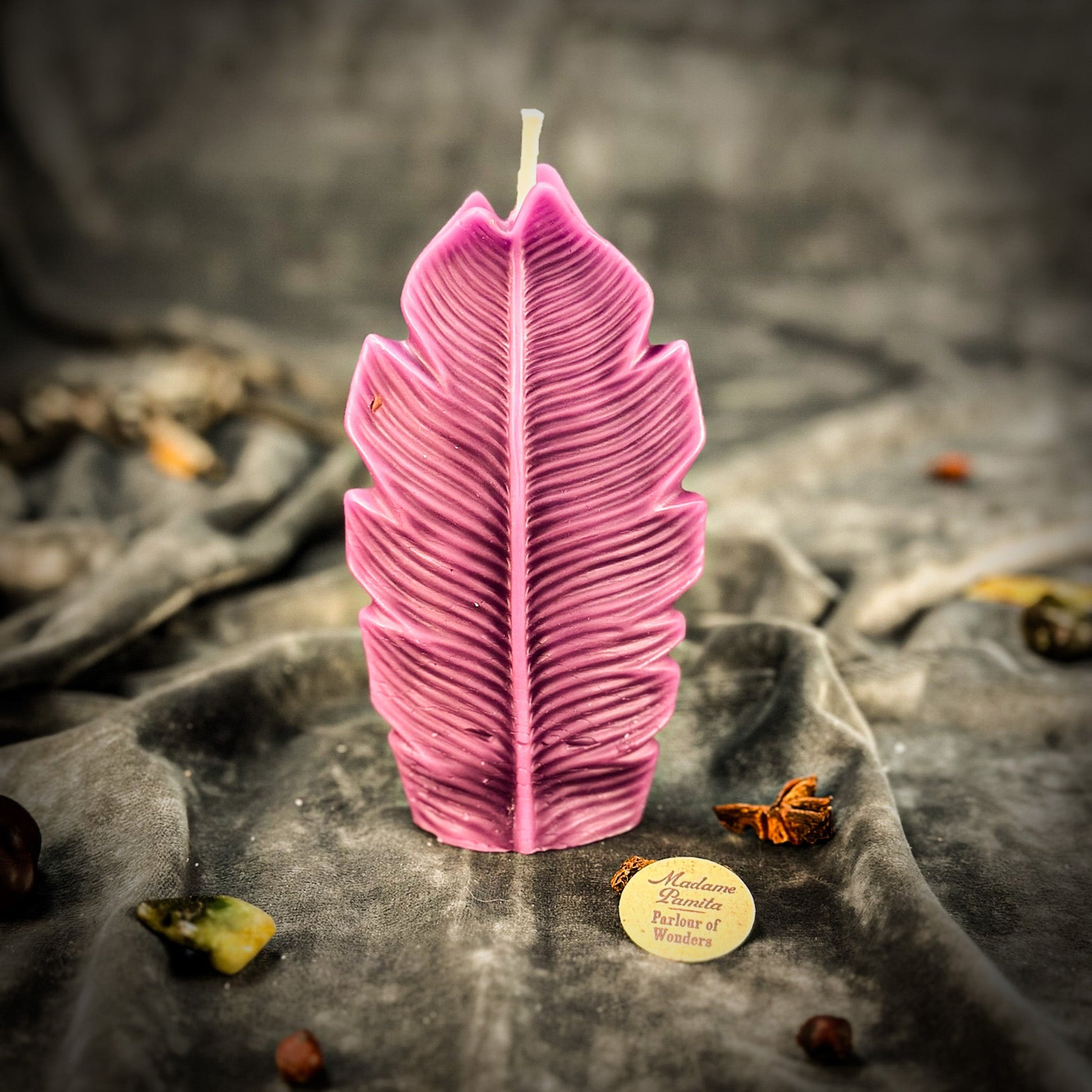 Plant Spirit Candle Spell Kit - Garden Blessing & Nature Magic – Purple (Power) Candle Spell Kit