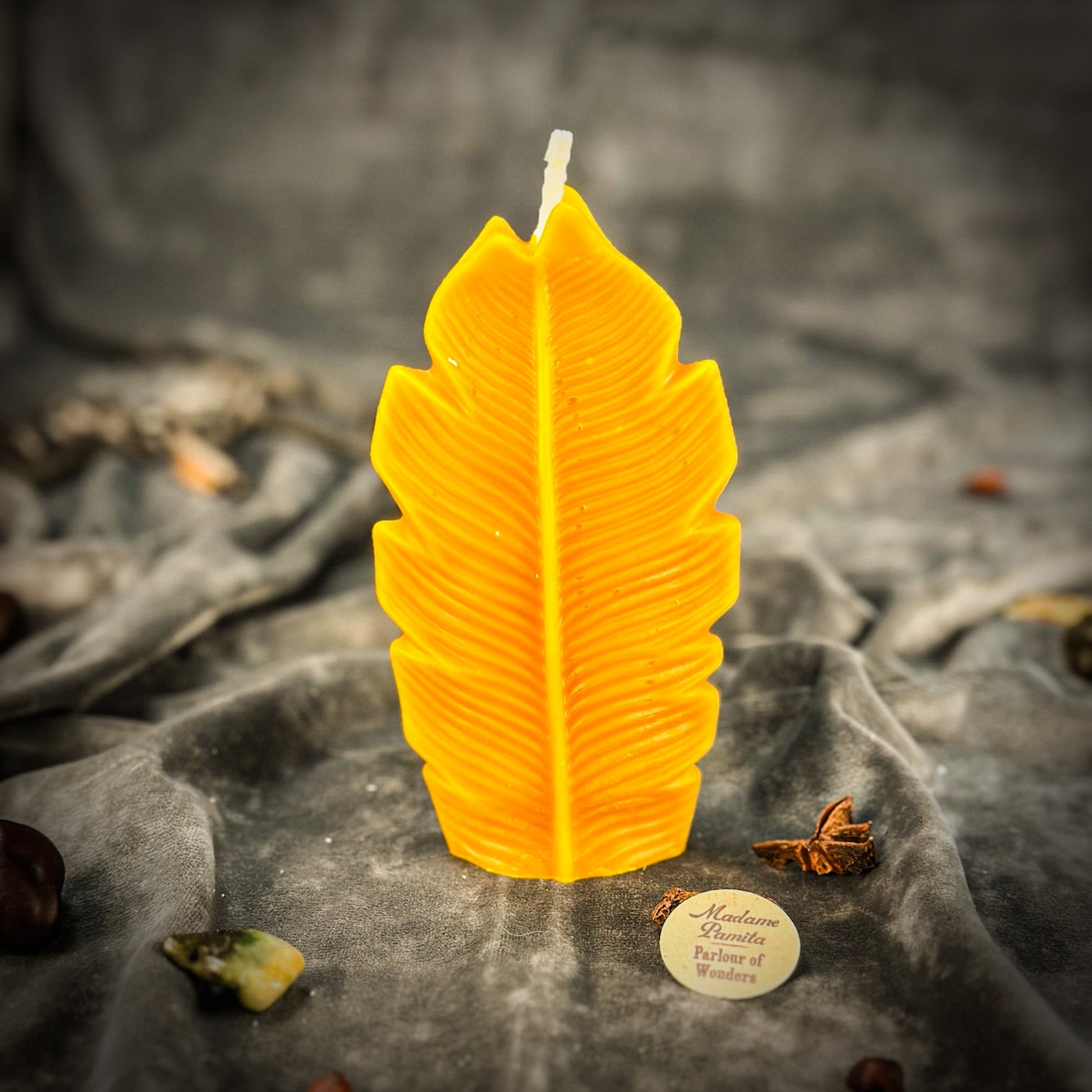 Plant Spirit Candle Spell Kit - Garden Blessing & Nature Magic – Yellow (Joy) Candle Spell Kit