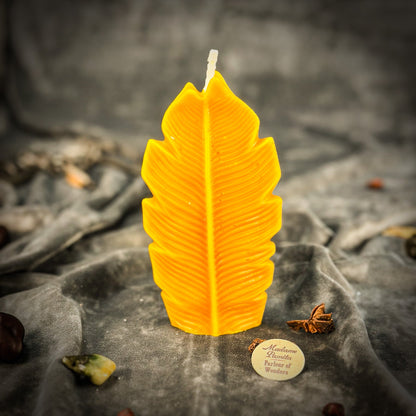 Plant Spirit Candle Spell Kit - Garden Blessing & Nature Magic – Yellow (Joy) Candle Spell Kit